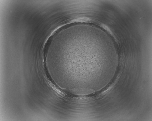 X0000068750923200604281201