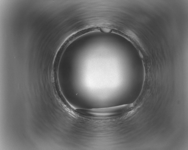 X0000068750924200604281201