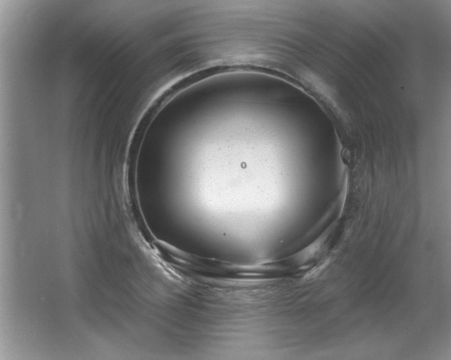 X0000068750932200604281202