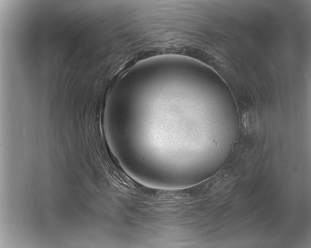 X0000068750963200604281201