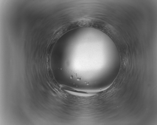 X0000068750964200604281201