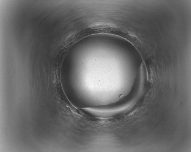 X0000068750965200604281201