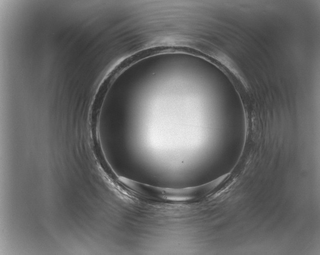 X0000068750972200604281201