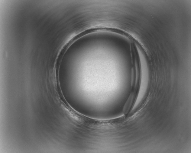 X0000068750982200604281201