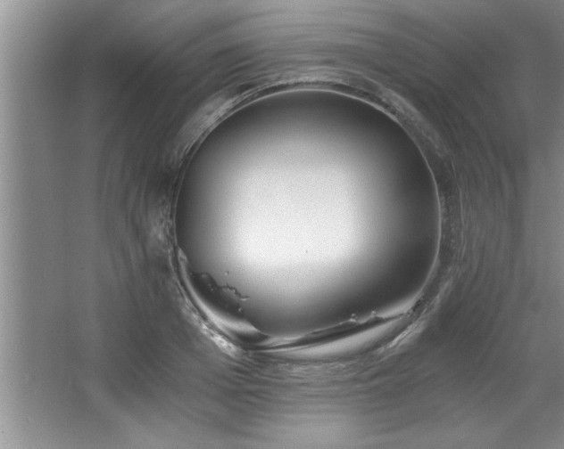 X0000068750985200604281201