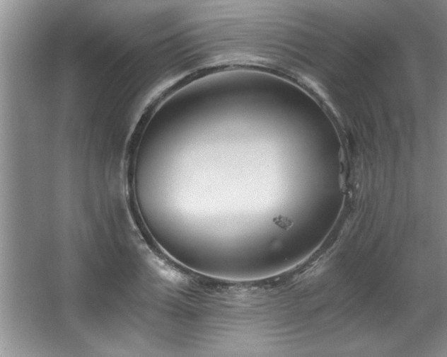 X0000068750987200604281201