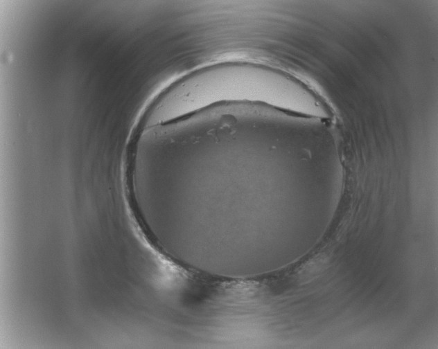 X0000068750991200604281201
