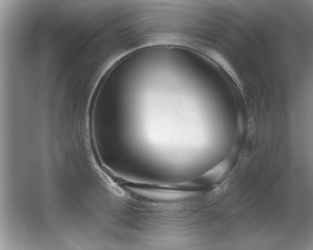 X0000068750996200604281201