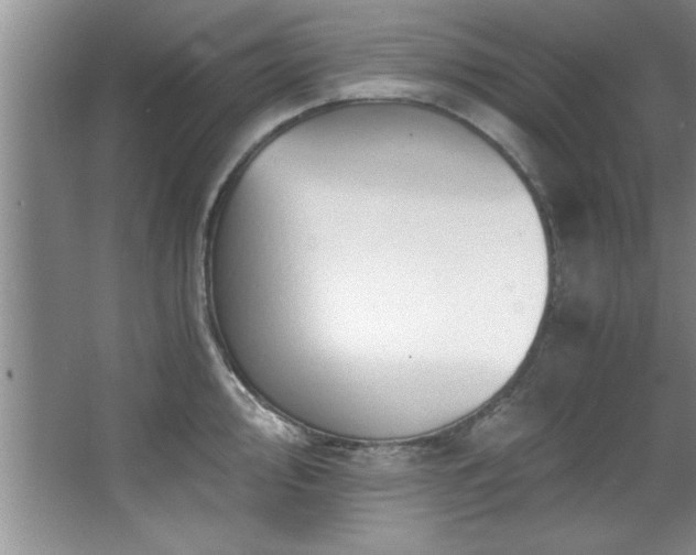X0000068751000200604281201