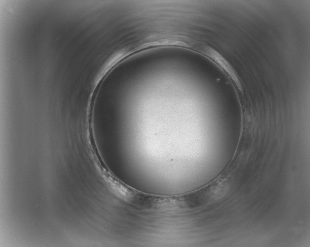 X0000068751002200604281201