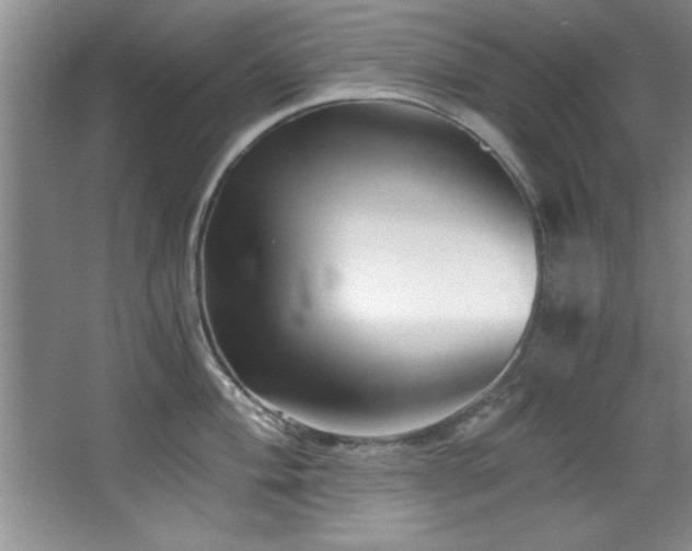 X0000068751004200604281201