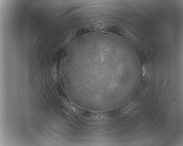 X0000068751011200604281200