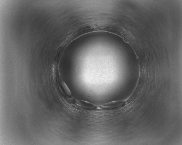 X0000068751012200604281200