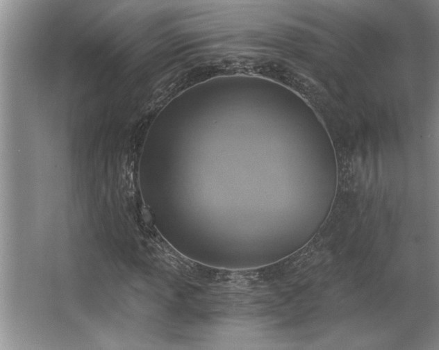 X0000068751013200604281200