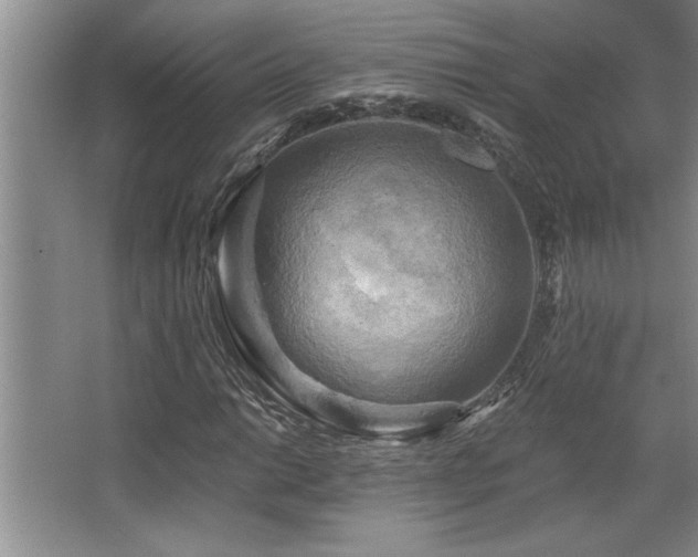 X0000068751014200604281200