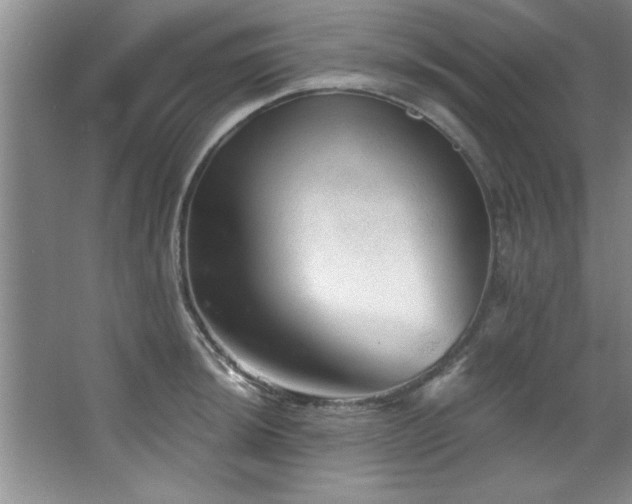X0000068751044200604281200