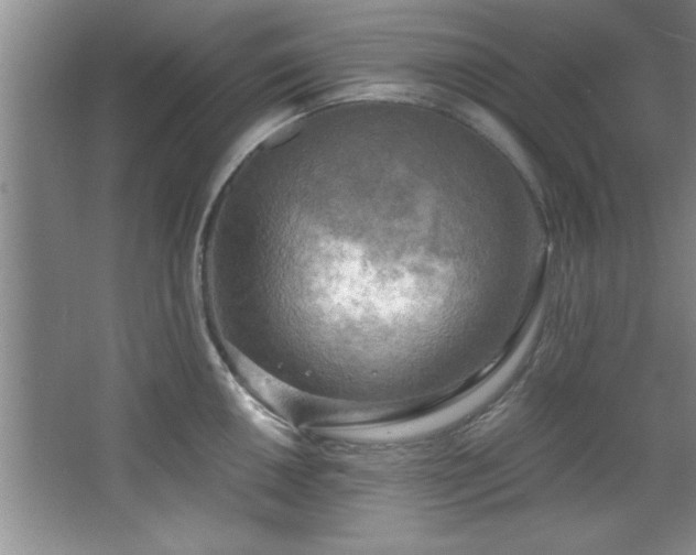 X0000068751050200604281200