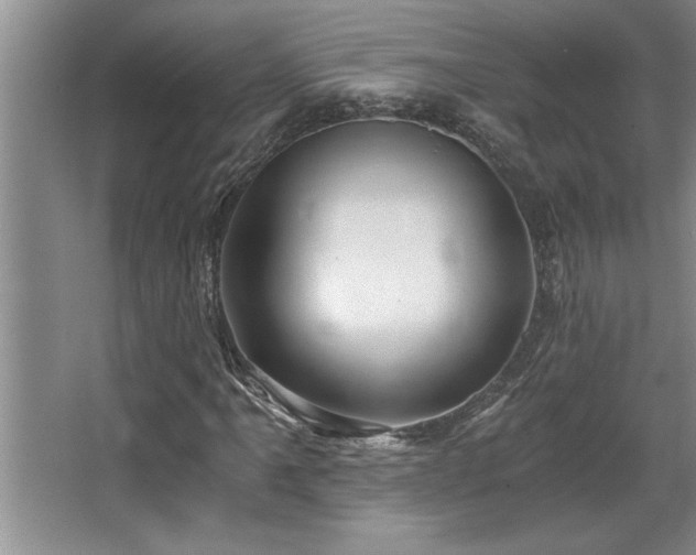 X0000068751061200604281200