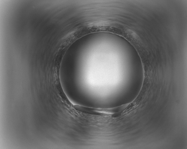 X0000068751062200604281200