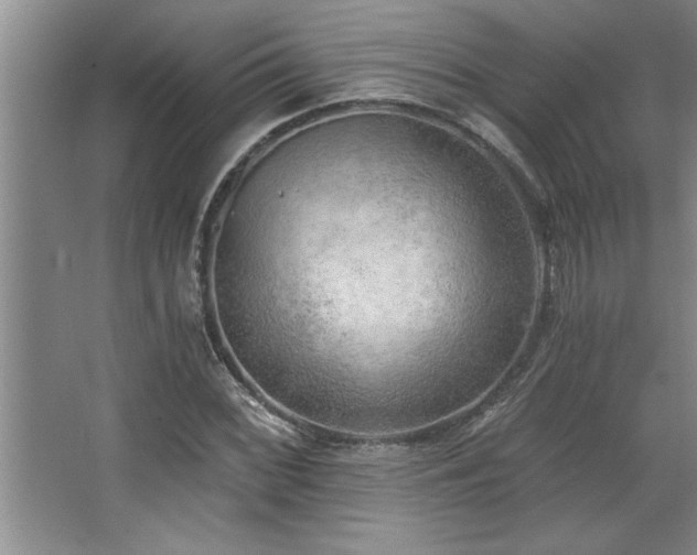 X0000068751068200604281159