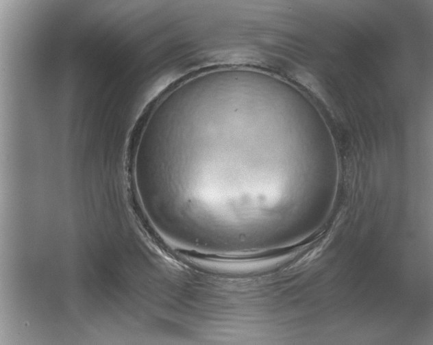 X0000068751071200604281159