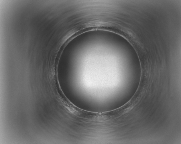 X0000068751073200604281159