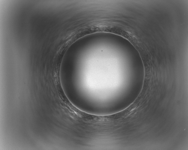 X0000068751109200604281158