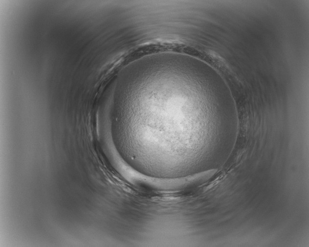 X0000068751110200604281158