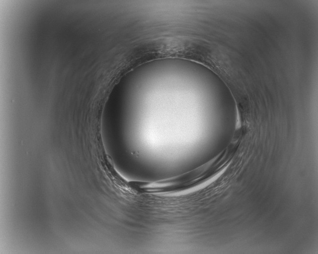 X0000068751153200604281158