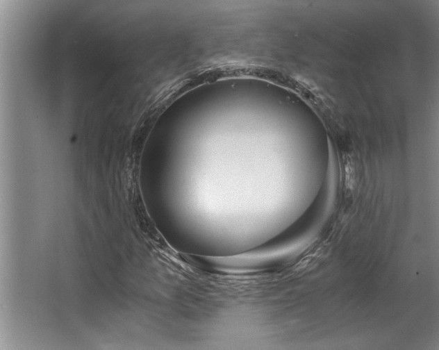 X0000068751157200604281158