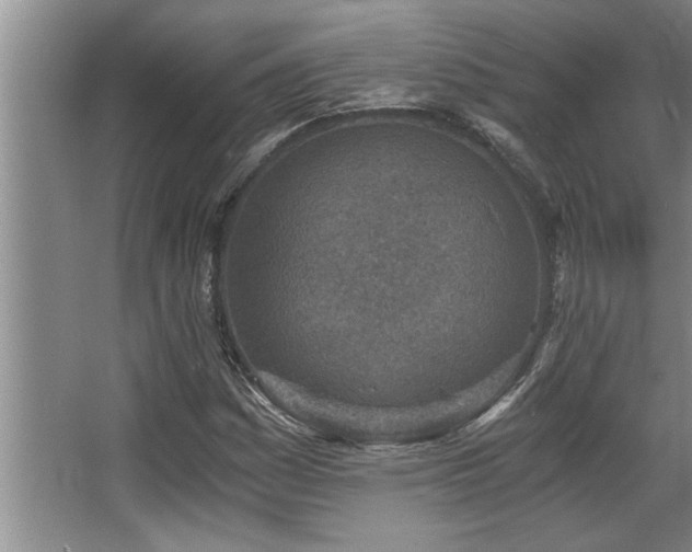 X0000068751161200604281158