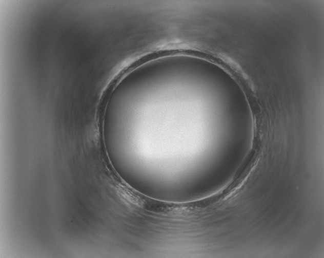 X0000068751167200604281158