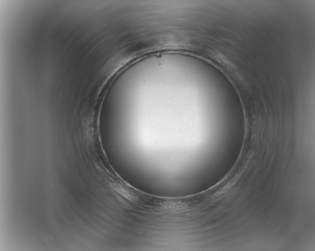X0000068751170200604281158