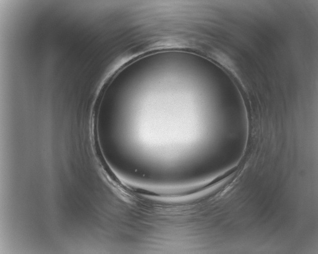 X0000068751179200604281158