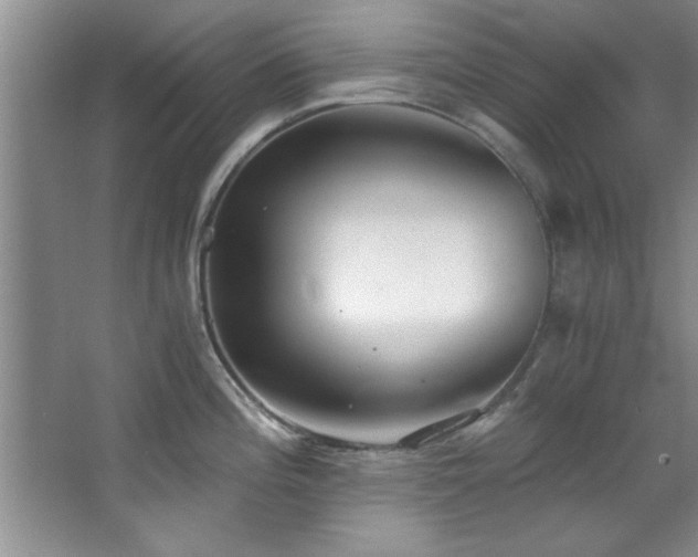 X0000068751196200604281157