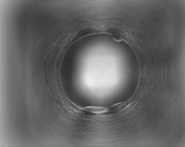 X0000068751201200604281156