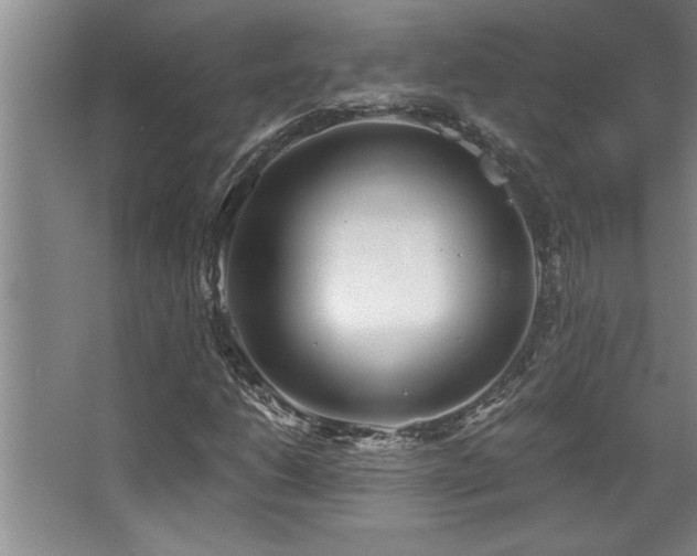 X0000068751206200604281157