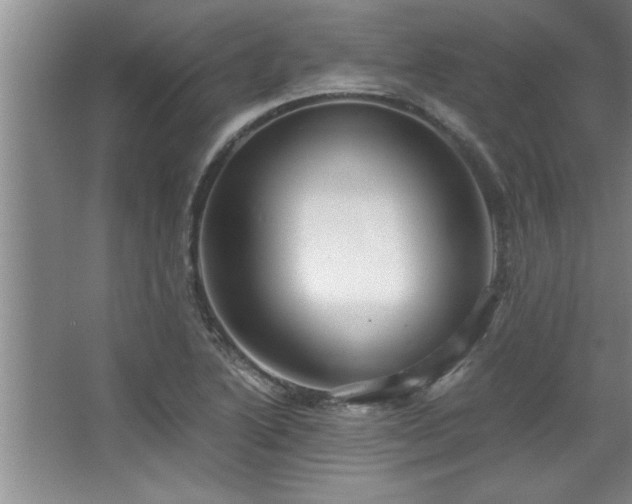 X0000068751222200604281157