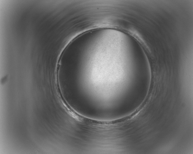 X0000068751236200604281157