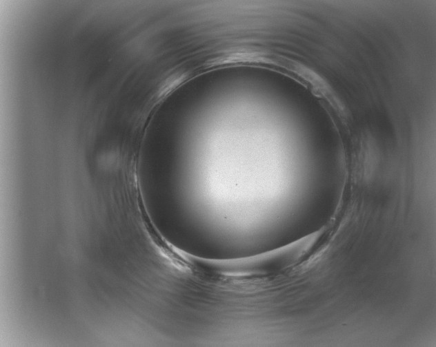 X0000068751241200604281157