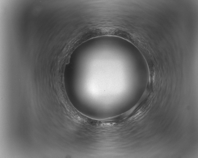 X0000068751249200604281156