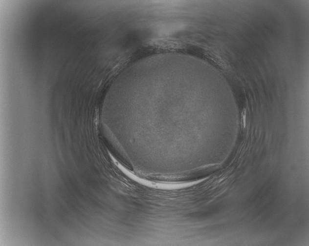 X0000068751251200604281156