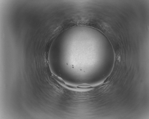 X0000068751252200604281156