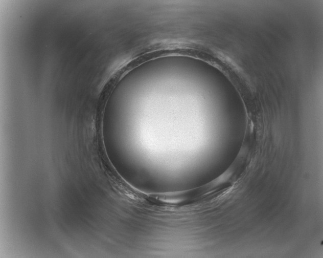 X0000068751261200604281156