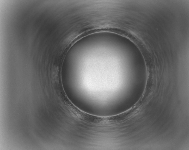 X0000068751265200604281156