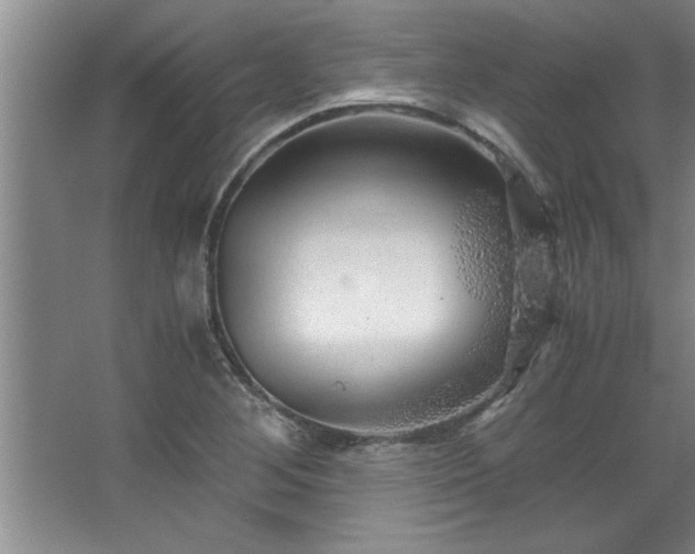 X0000068751268200604281156