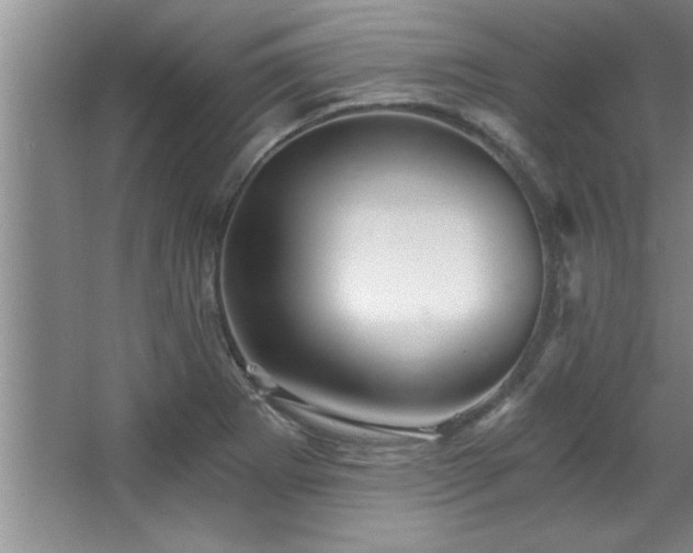 X0000068751273200604281156