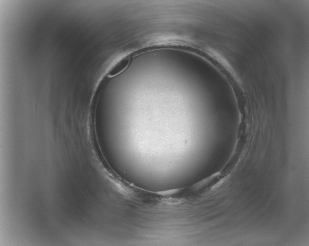 X0000068751277200604281156