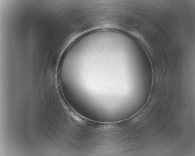 X0000068751278200604281156