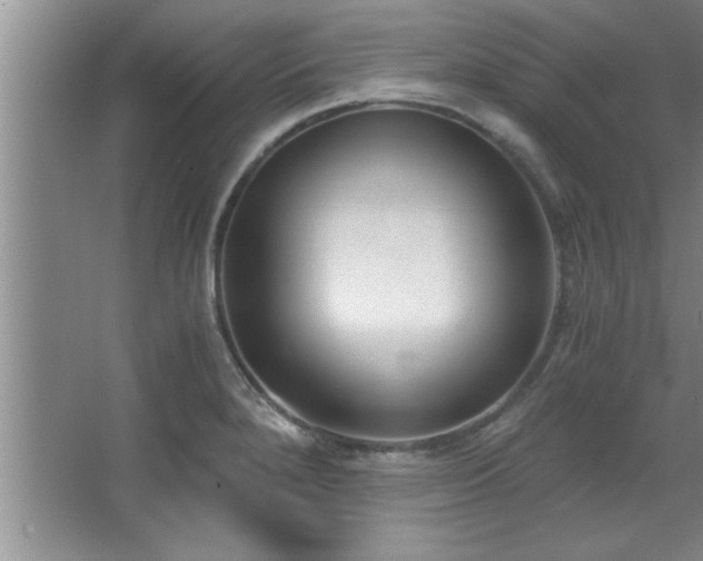 X0000068751280200604281156